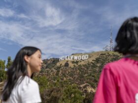 Jesienne kursy językowe w ciepłych zakątkach świata – od safari po australijską wiosnę