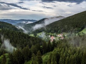 Lato pod parasolem - czyli jak pogoda zmienia sektor turystyczny w Polsce?