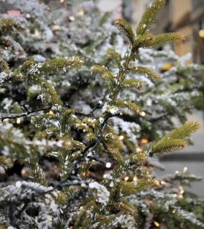 swiateczny-budzet-pod-kontrola