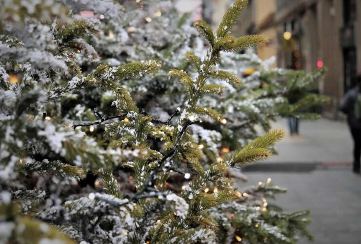 swiateczny-budzet-pod-kontrola