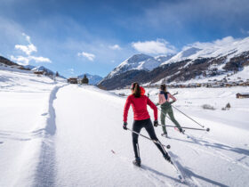 AKTYWNY WYPOCZYNEK DLA REGENERACJI. CEL PODRÓŻY: WŁOSKIE ALPY